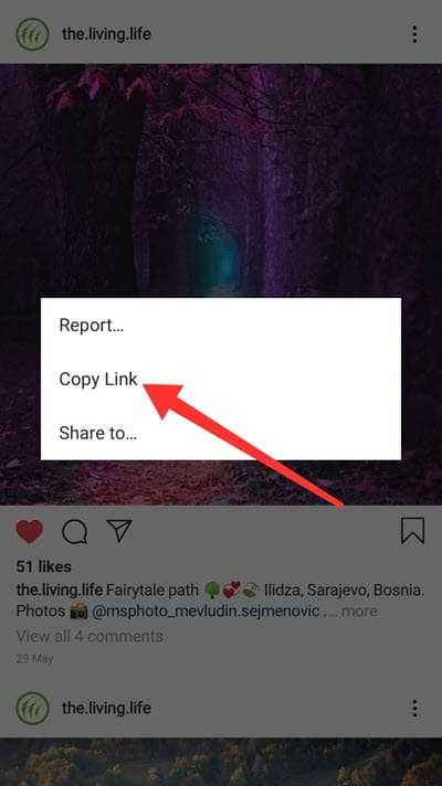 copy instagram url